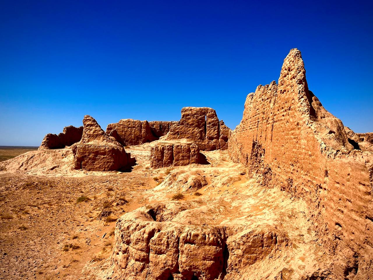 Photo from Family travelers experience